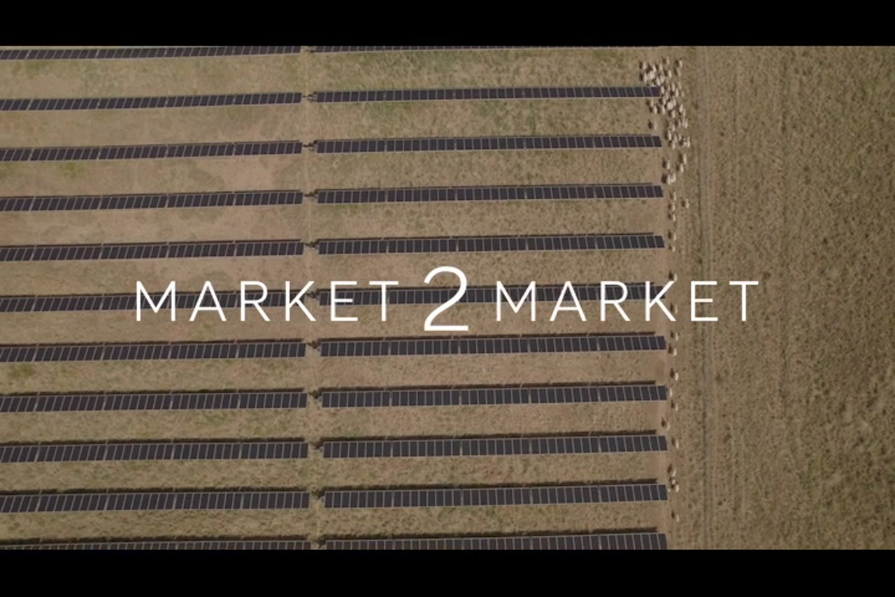 Aerial Footage of Sheep running through a field of Solar Panel