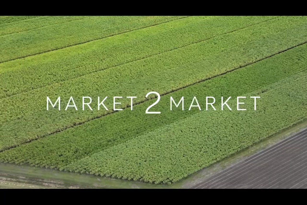 Aerial footage over rural, agricultural field in Mackay