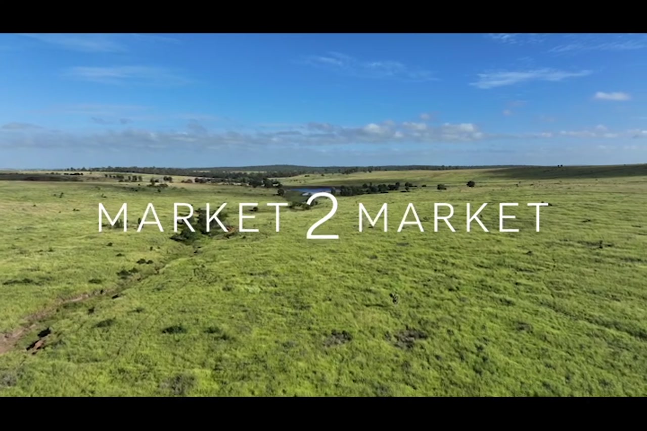 Aerial footage over grazing land in Wide Bay region.