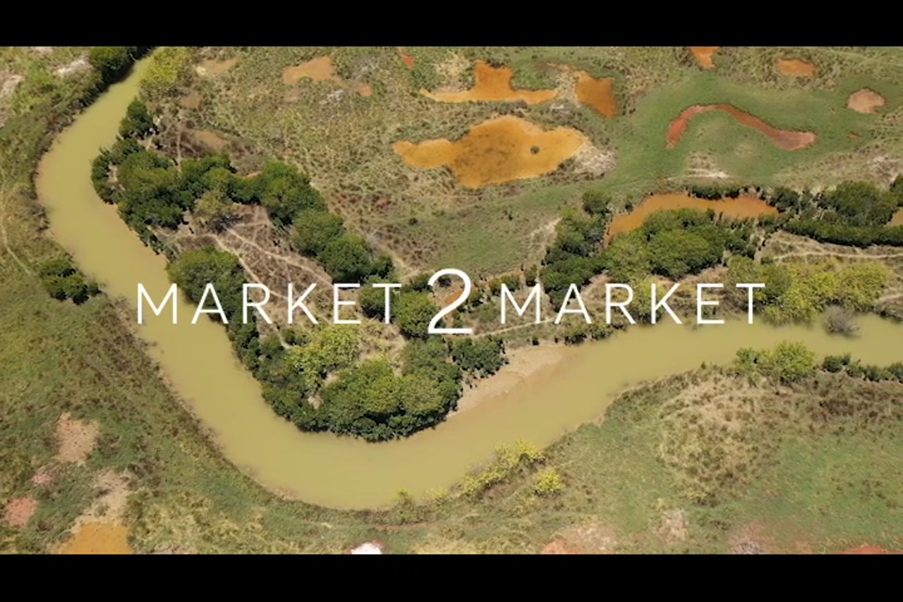 Aerial Footage of swampy creek landscape, Western Cape York – 0450