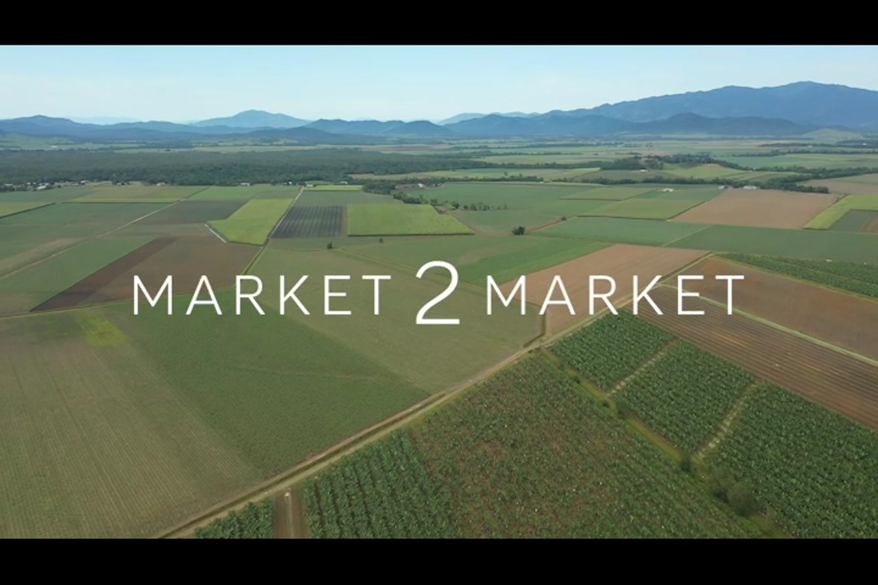 Aerial footage over agricultural fields in Far North Queensland