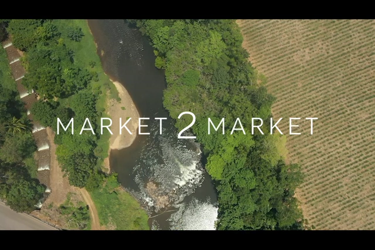 Aerial footage over agricultural fields and river in Far North Queensland