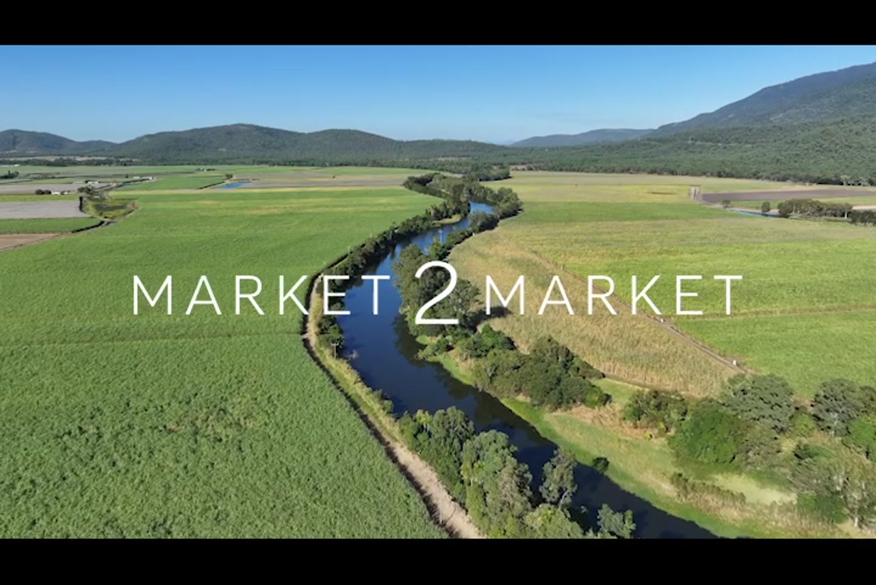 Aerial footage of Pioneer River winding through vast sugarcane fields in the Mackay region