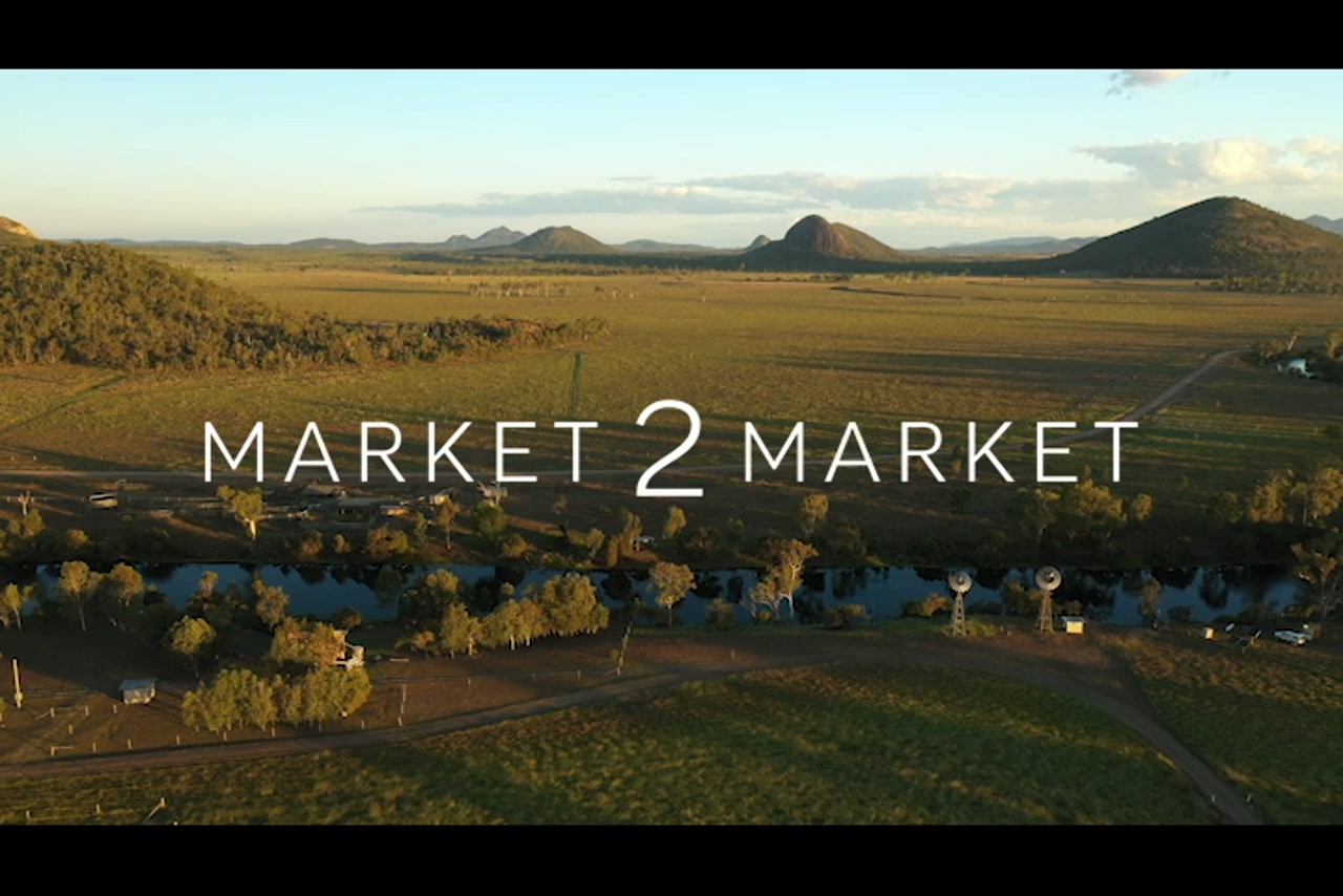 Aerial footage along Hedlow Creek at dusk