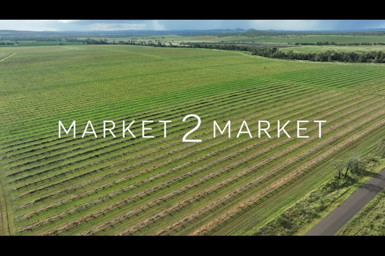 Aerial footage of rows of crops in agricultural fields