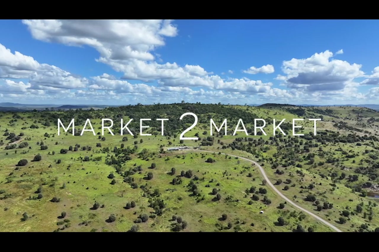 Aerial footage of lush, green landscape