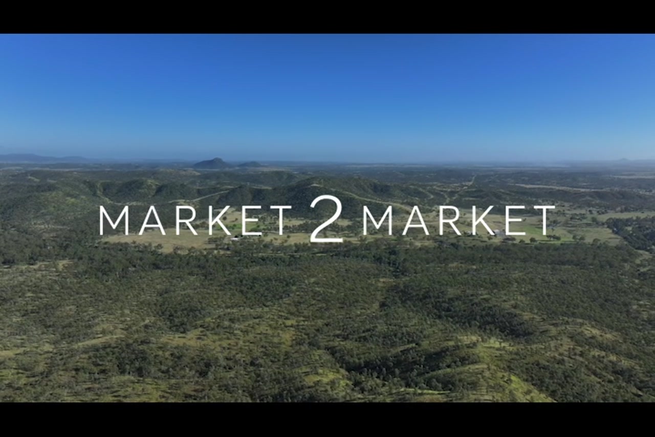 Aerial footage of green hills with bush and vegetation